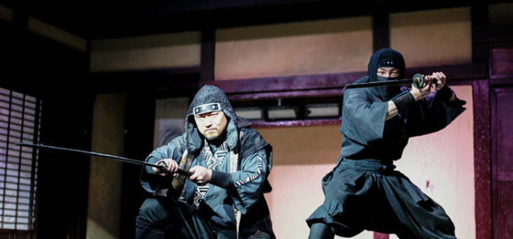 Guerreiro ninja com palavra japonesa significa força